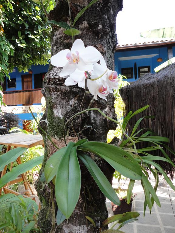 Pousada Dos Meros Vila do Abraao Luaran gambar